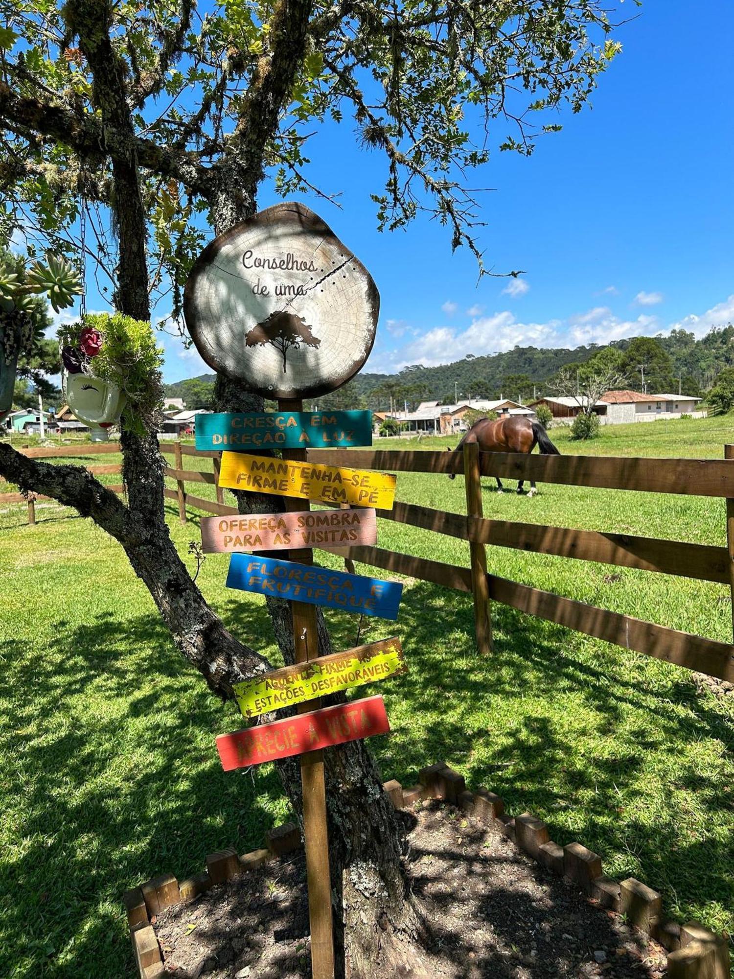 Toca Da Coruja - - Sc