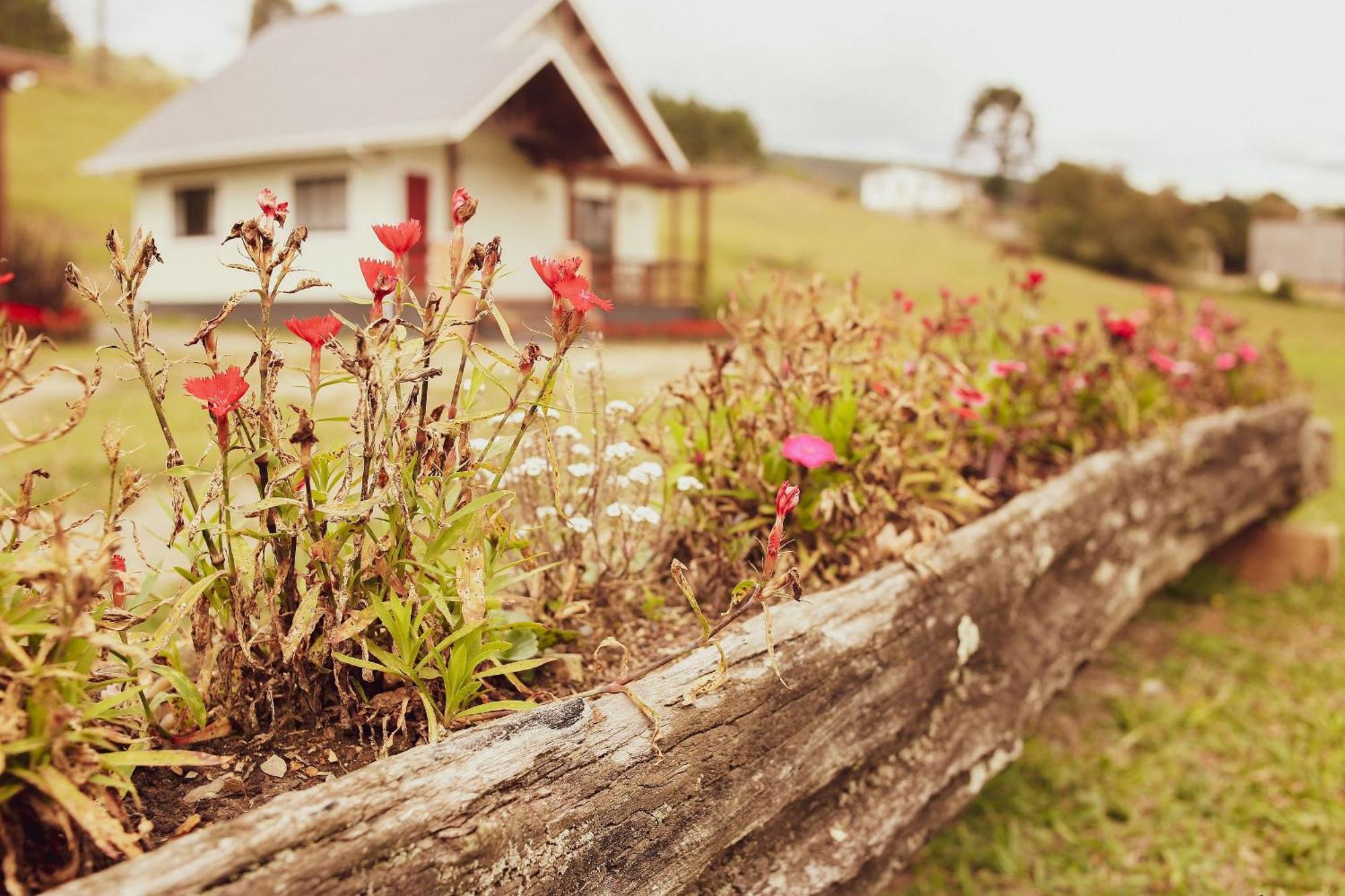 Holiday home Toca Da Coruja - - Sc *